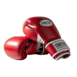 boxing gloves manufacturer supplier